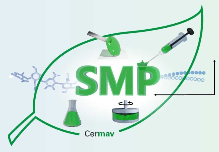 Structure et Modifications des Polysaccharides (SMP)