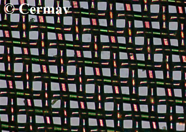 Nylon bolting cloth. Polarized light optical micrograph