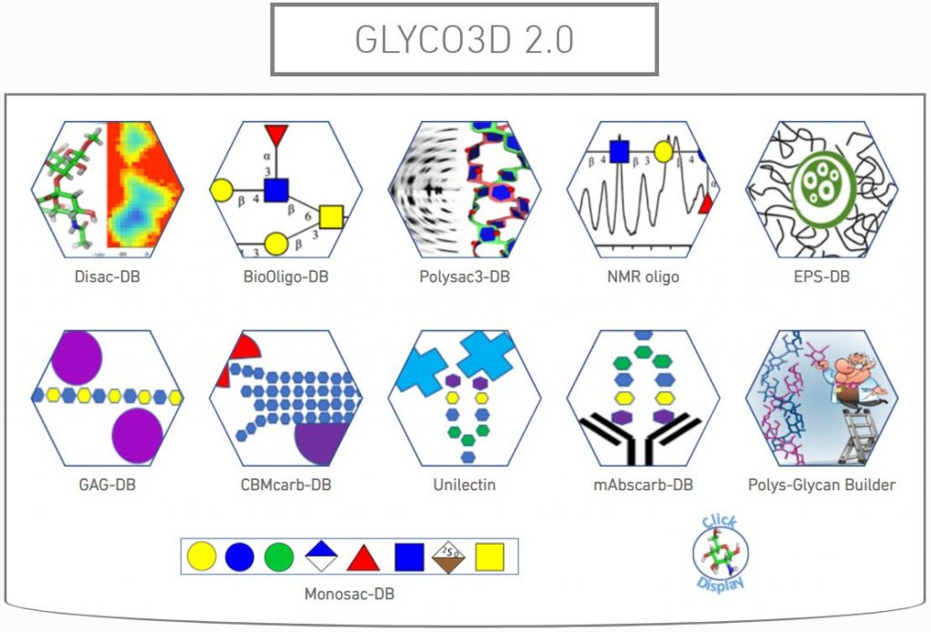 GLYCO3D