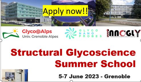 Structure Glycoscience Summer School